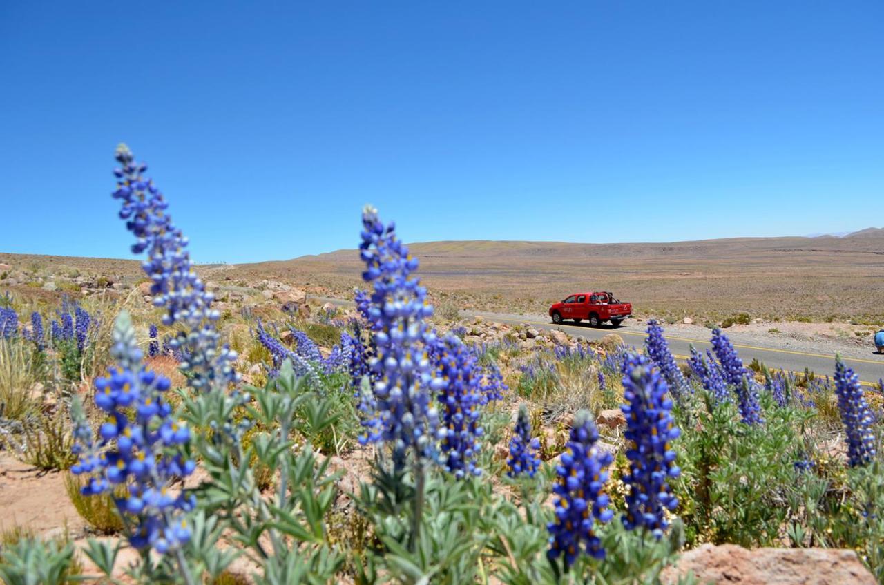 Отель Ckuri Atacama Сан-Педро-де-Атакама Экстерьер фото