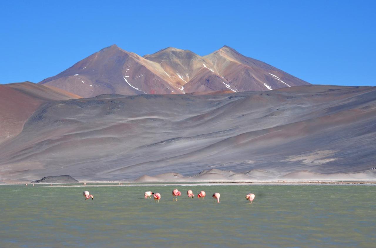 Отель Ckuri Atacama Сан-Педро-де-Атакама Экстерьер фото